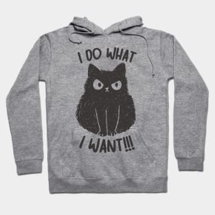 I do what i want Hoodie